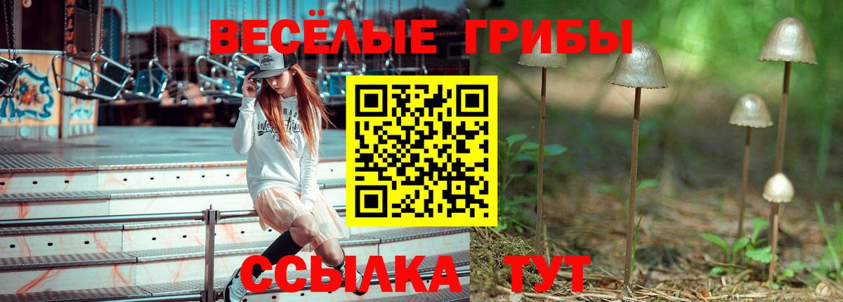 Междуреченск  Псилоцибиновые грибы прущие грибы  купить закладку  Вход с VPN 