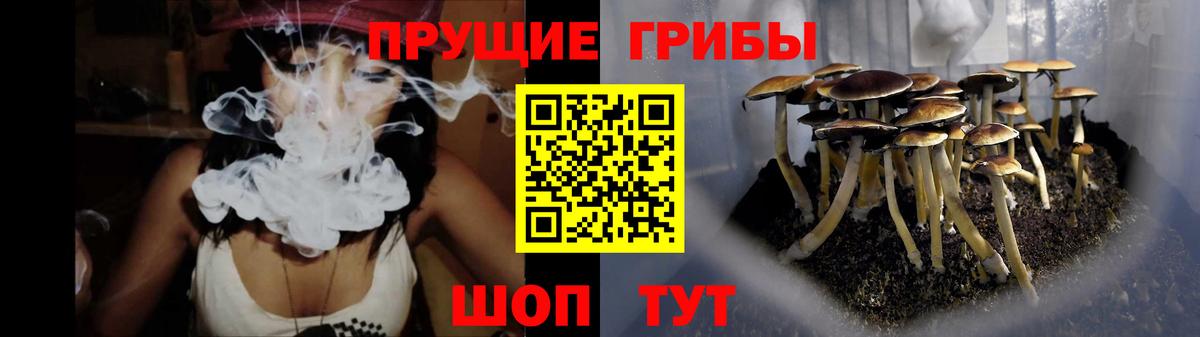 Галлюциногенные грибы мицелий Междуреченск